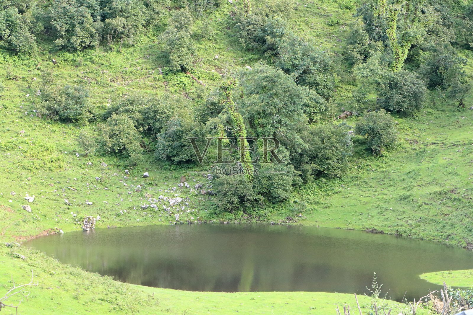 美丽的高山草甸在Uttarkashi，印度，亚洲照片摄影图片