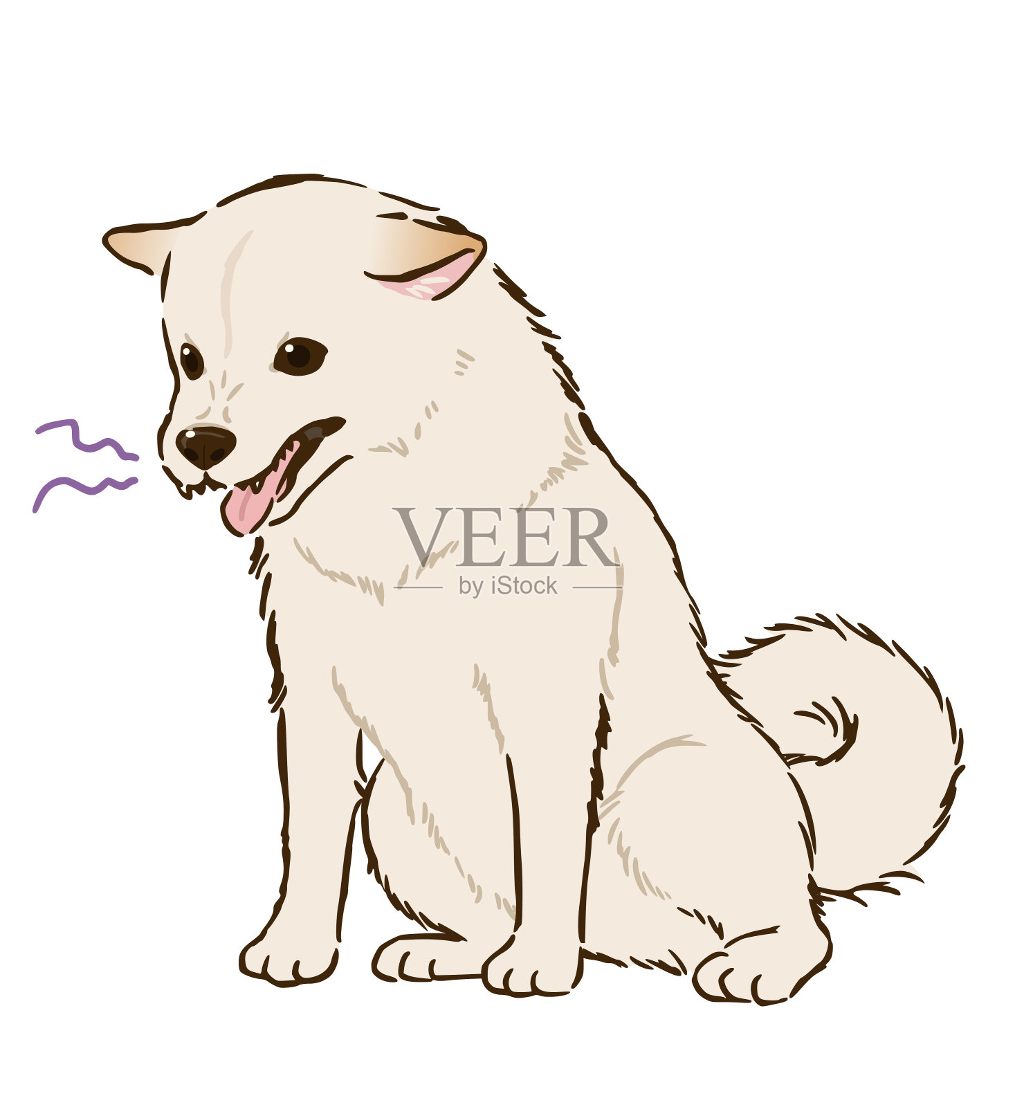 坐着生气的柴犬(白发)插画图片素材