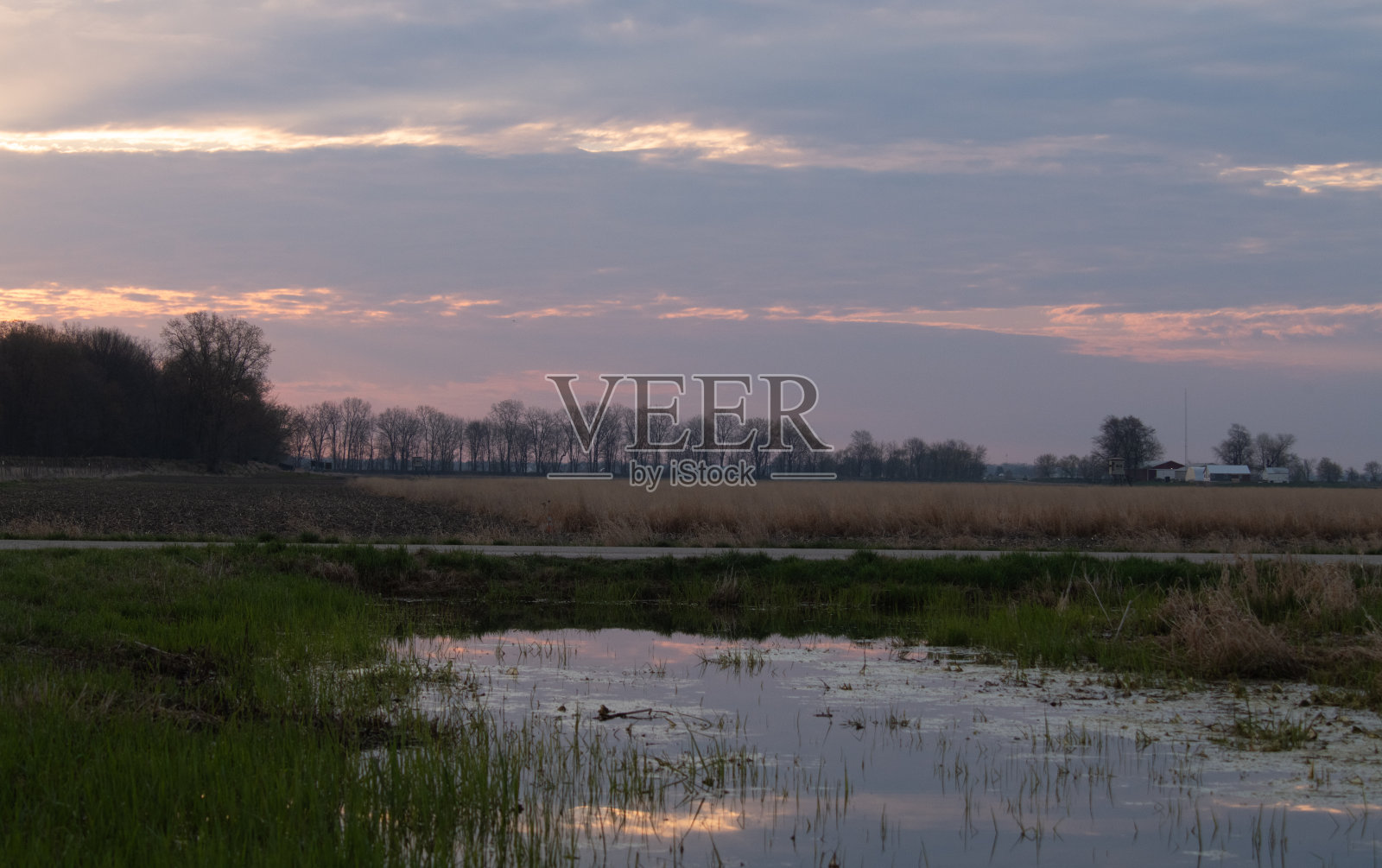 密歇根州南部的弗格森沼泽在初升太阳的蓝色光芒中。照片摄影图片