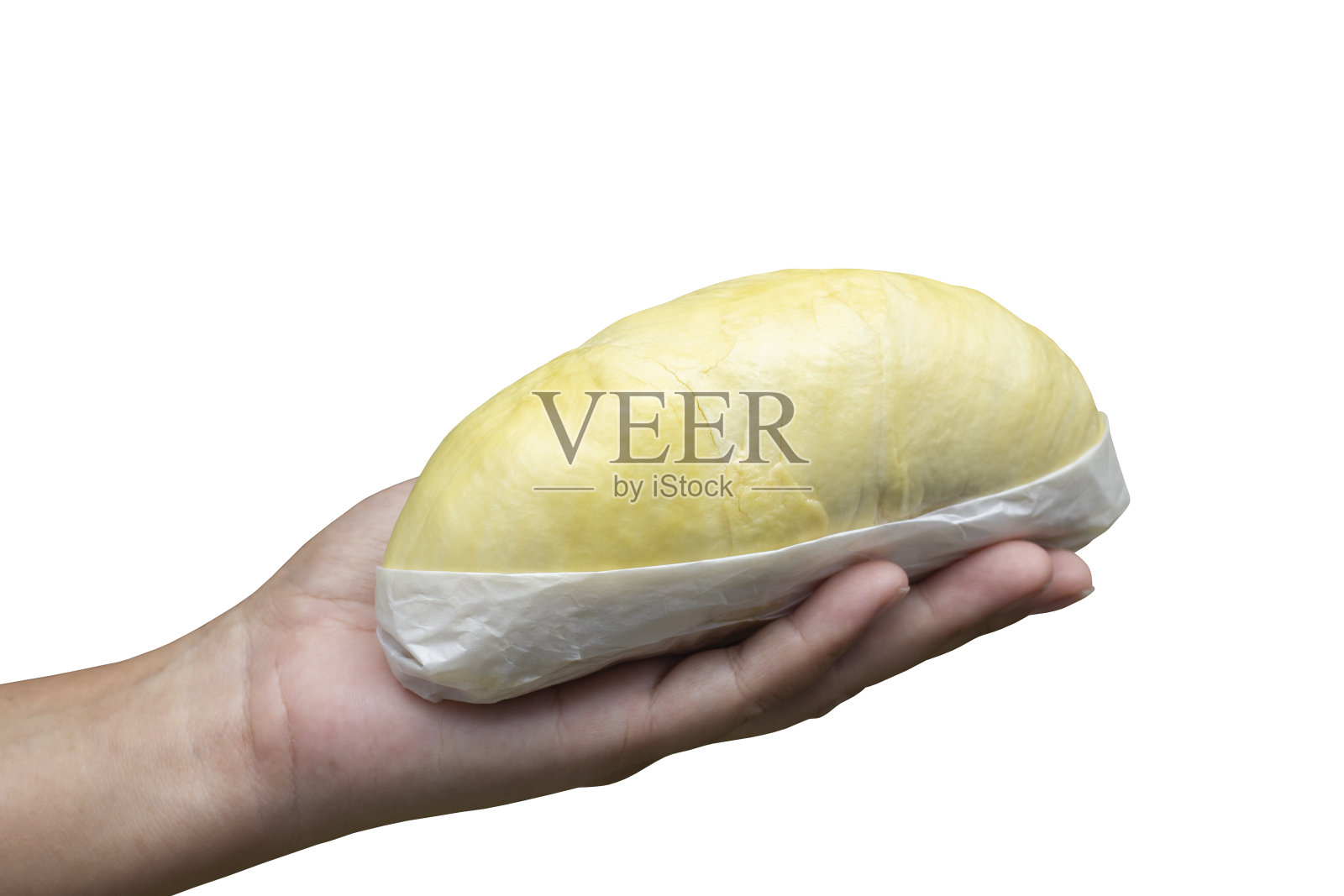 手捧成熟的榴莲，用白纸包裹着就可以吃了，是泰国最受欢迎的水果之王，孤立在白底包括夹道。照片摄影图片