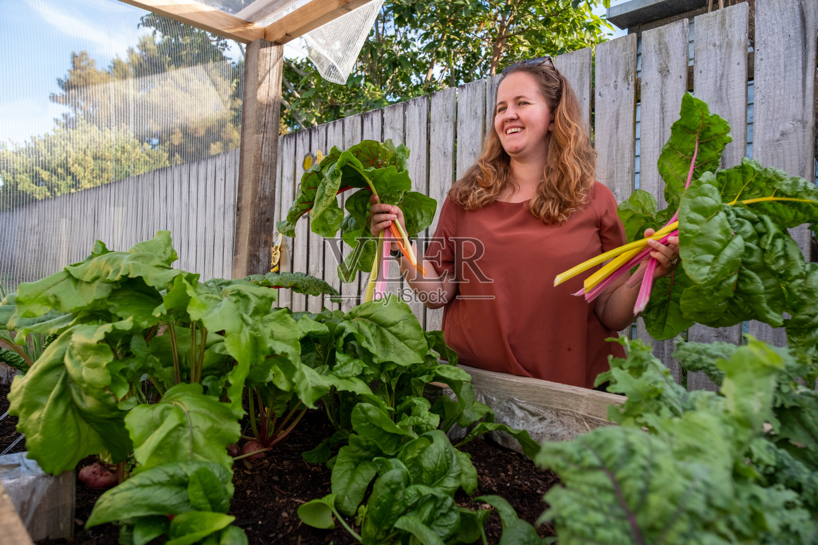 享受我的劳动果实，一次一次的收获照片摄影图片