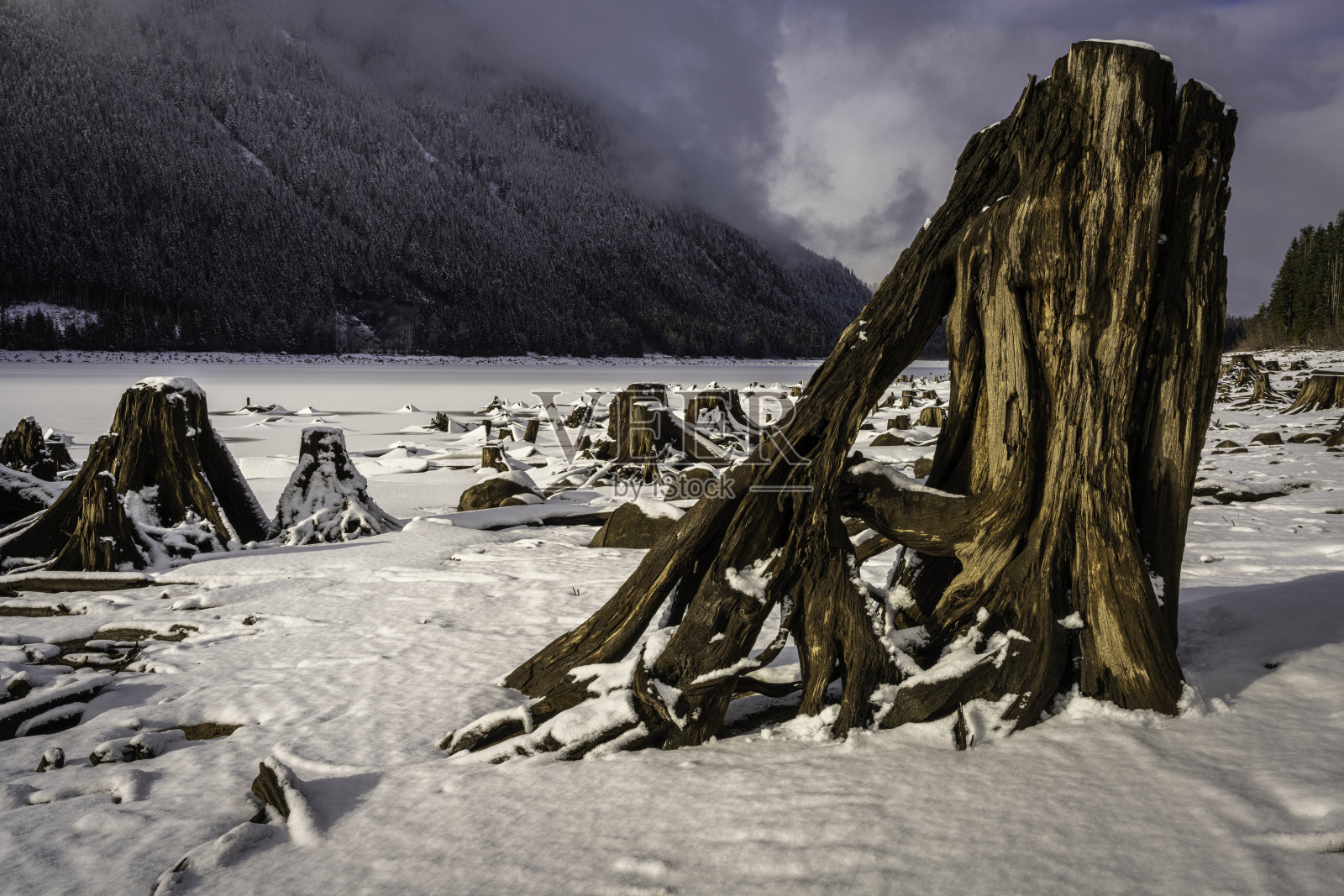 冰冻的喜悦照片摄影图片