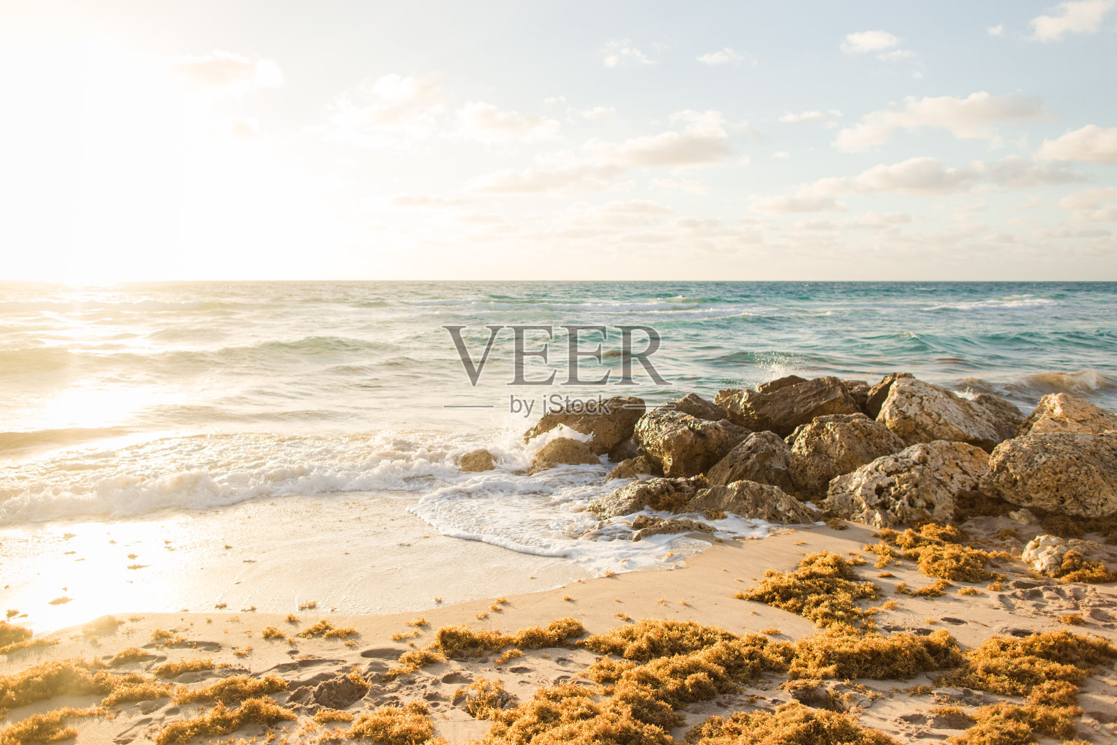 2023年春天，佛罗里达海岸棕榈滩的金色日出照片摄影图片