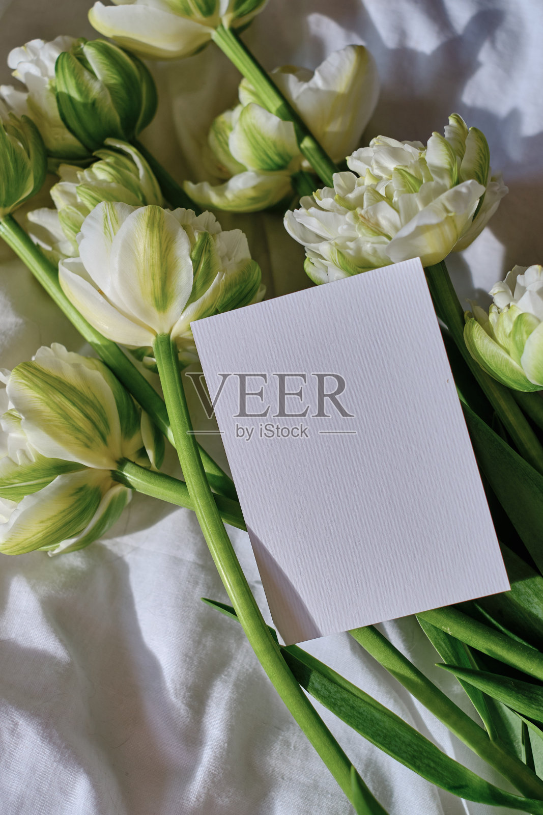 白色的卡片躺在一个美丽的郁金香花束在一个明亮的背景。给女人的礼物。生日贺卡。母亲的一天。放文字的地方照片摄影图片