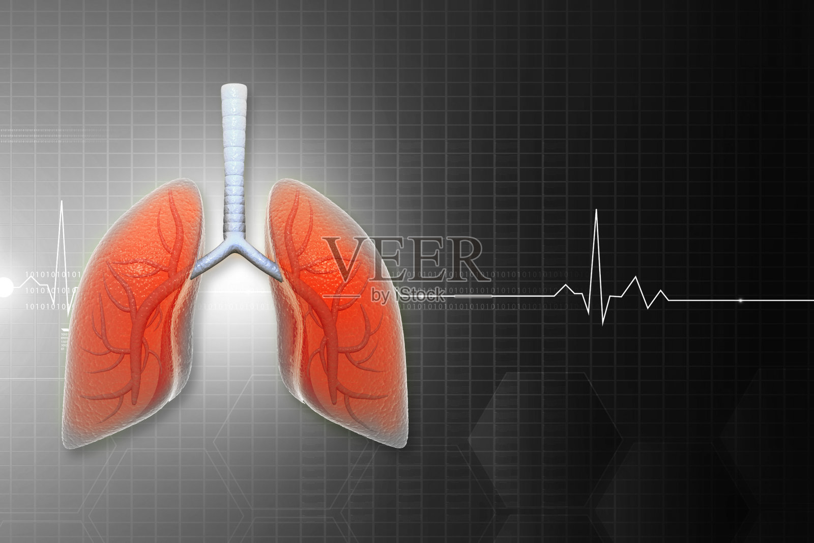 人体肺概念照片摄影图片