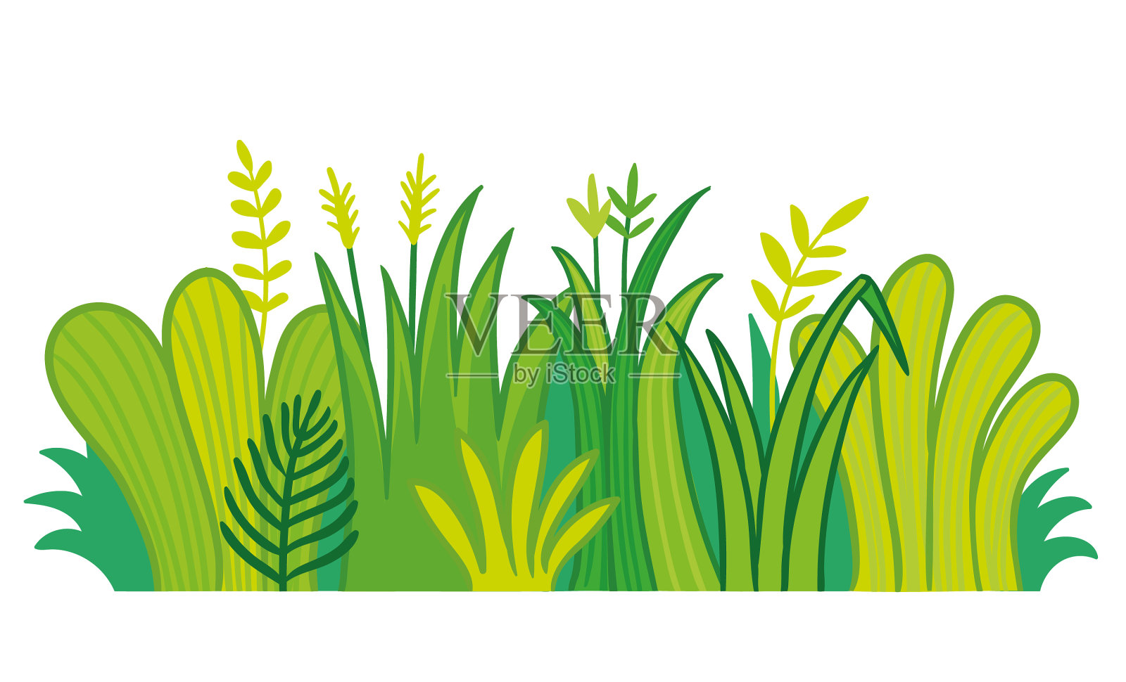 白色背景上的草设计元素图片