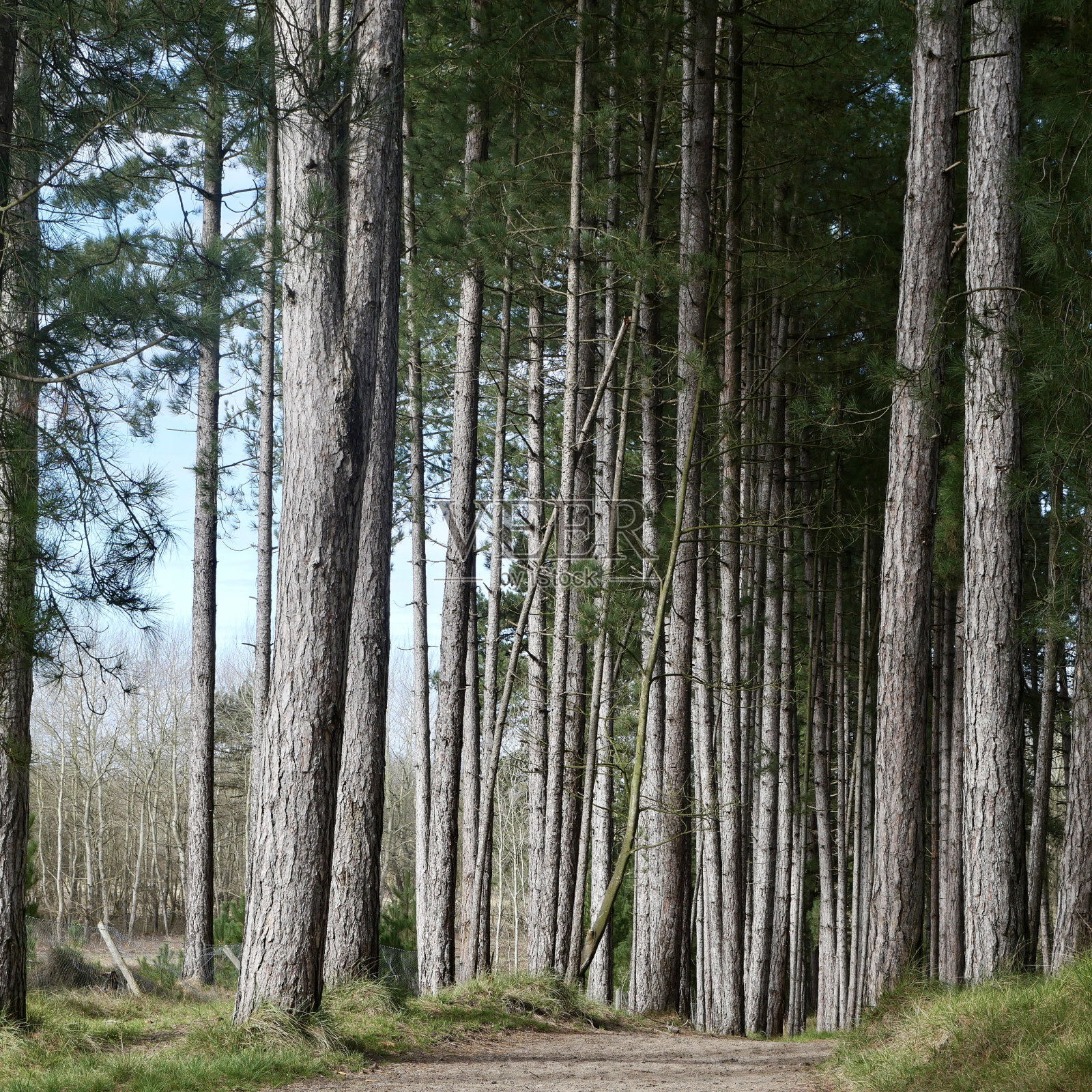 把高度照片摄影图片