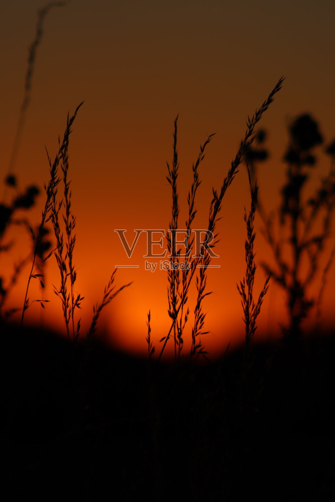 老掉牙的散景照片摄影图片