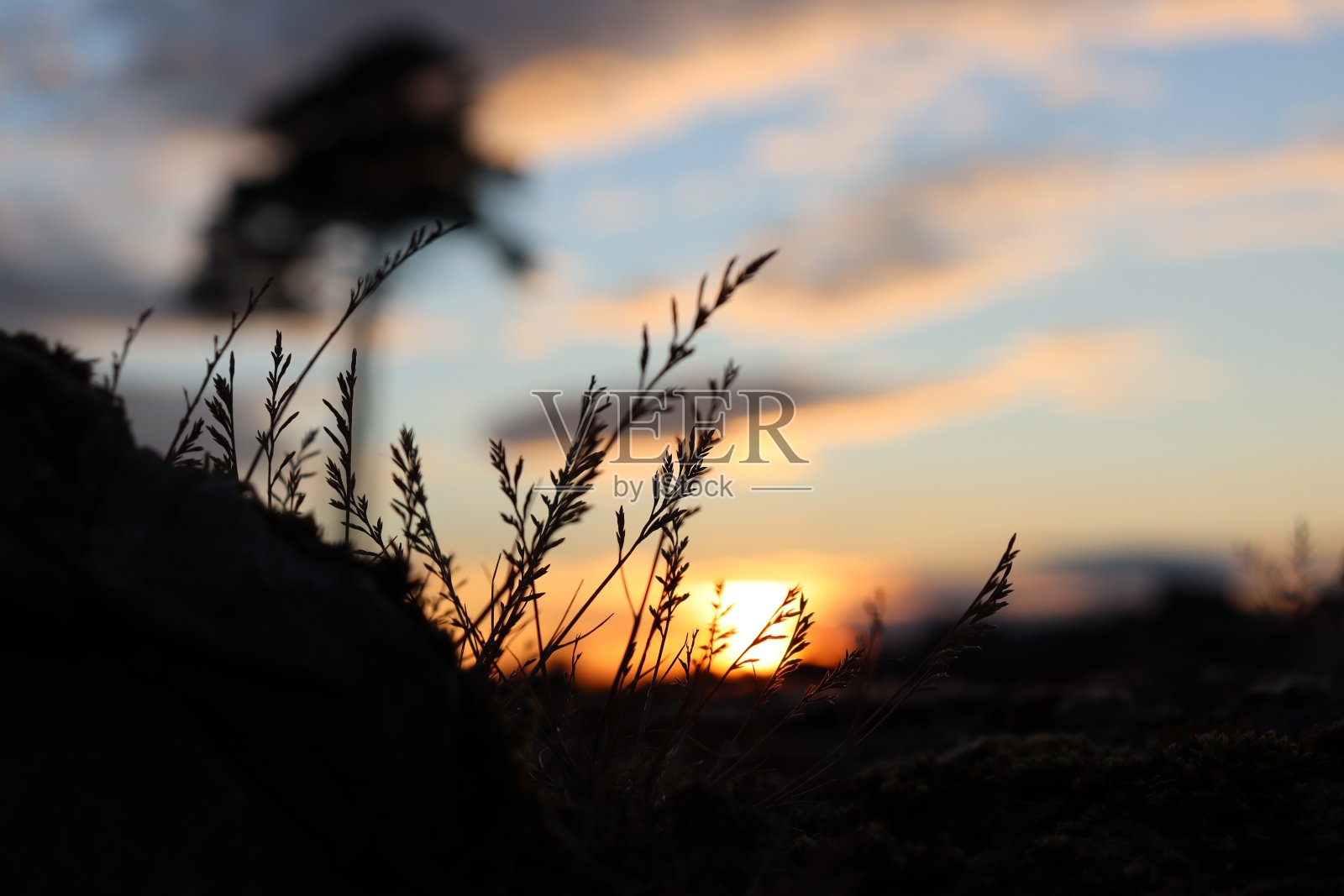 在《自然的阴影》(变种)照片摄影图片