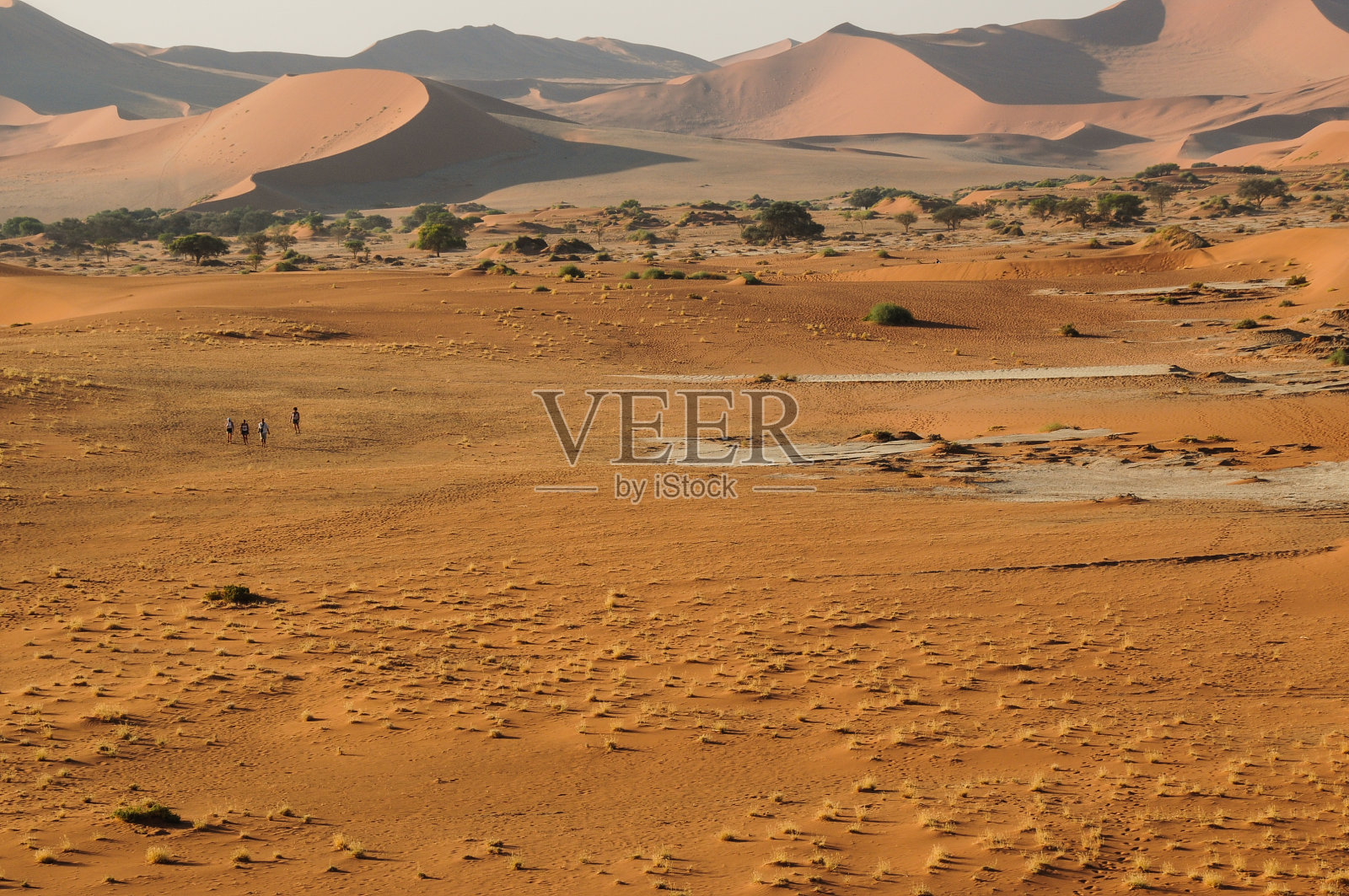 沙漠的沙丘照片摄影图片