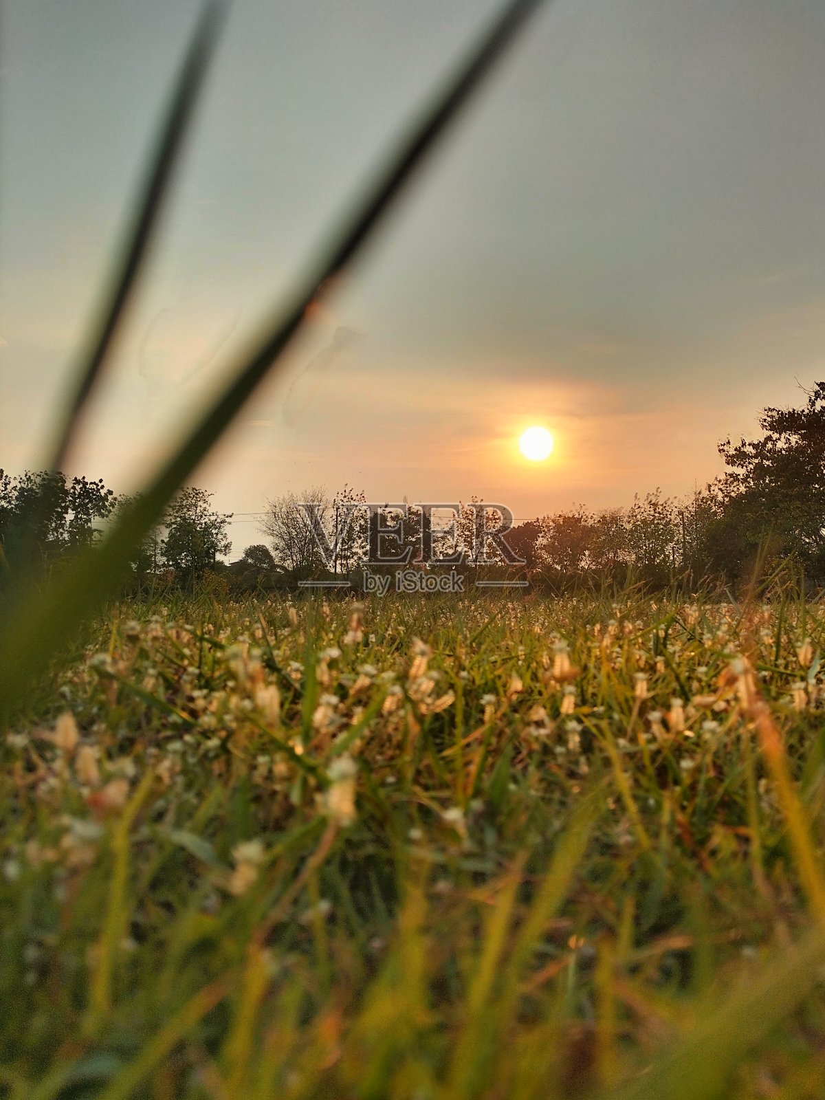 太阳照片摄影图片