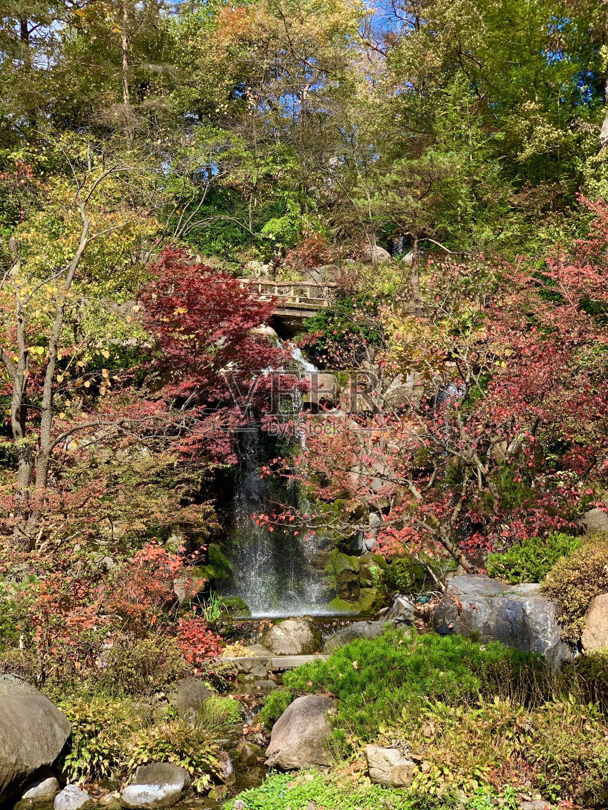 夏天照片摄影图片
