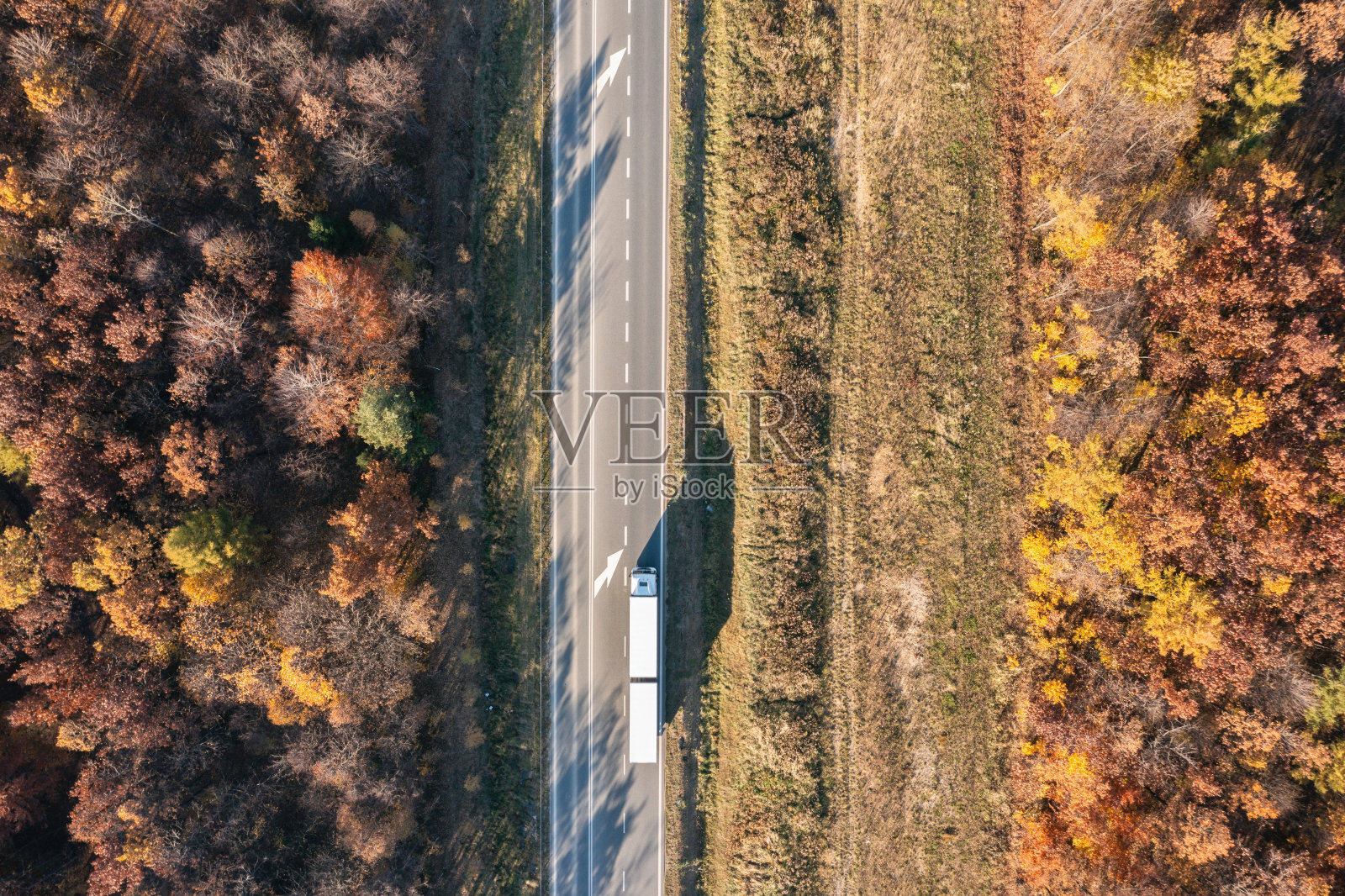 卡车在秋天穿过森林。汽车运输。灰色半挂车卡车。照片摄影图片