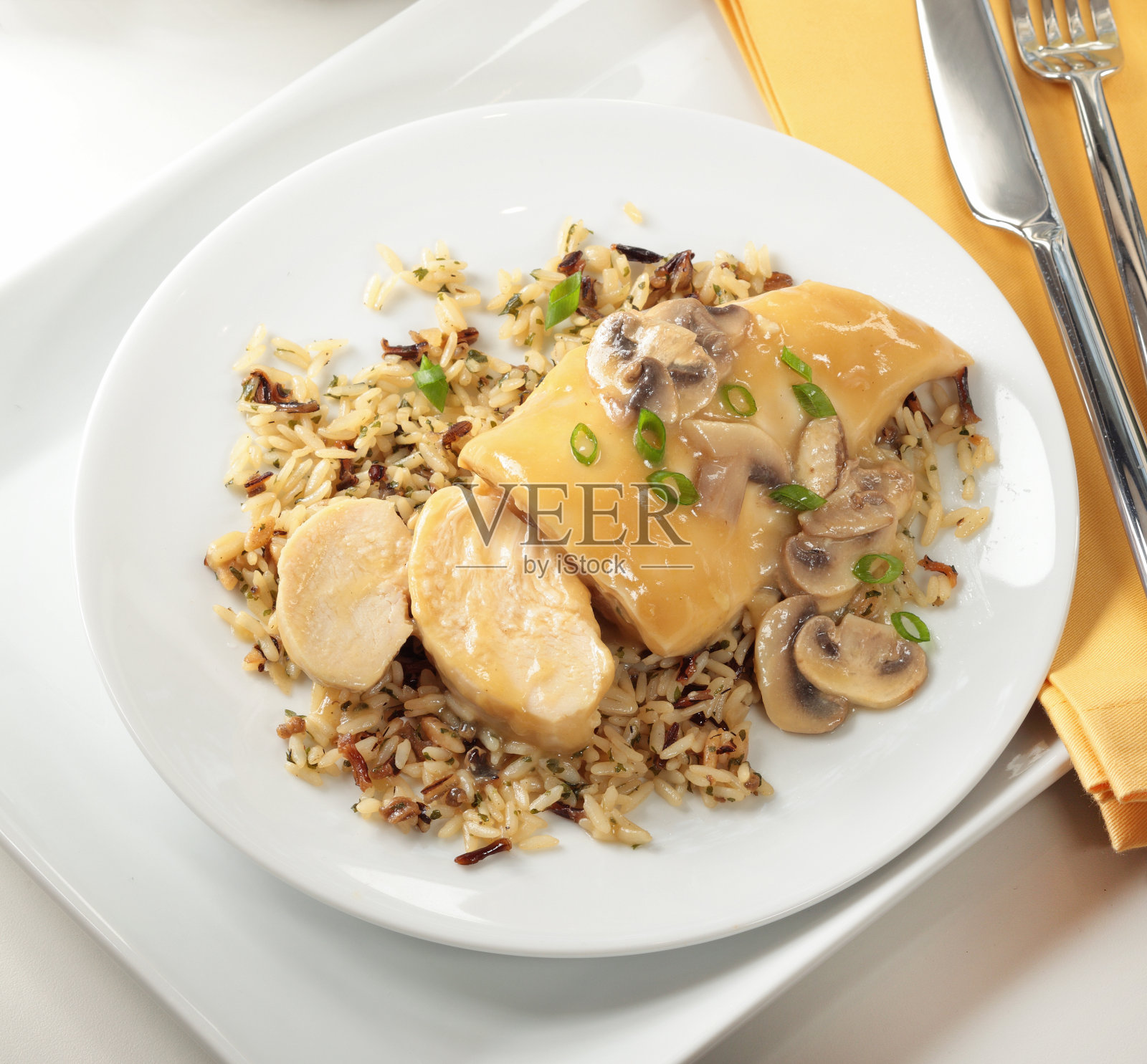 鸡肉饭照片摄影图片