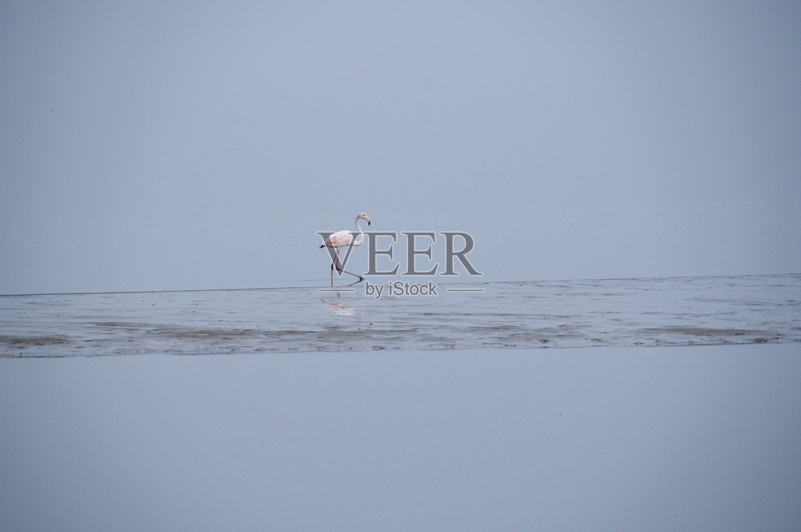 沙漠里的一群人照片摄影图片