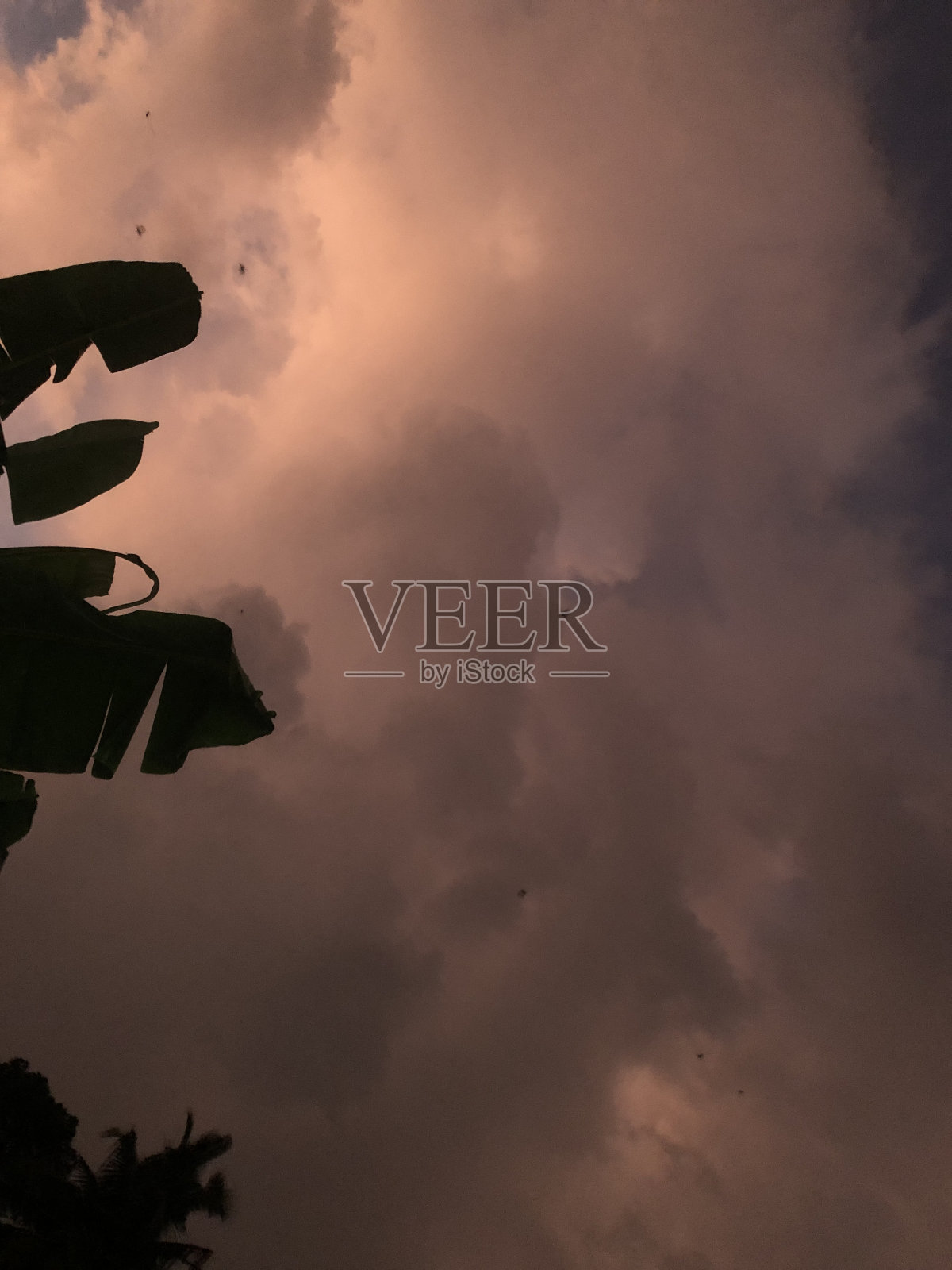 非凡的创造照片摄影图片