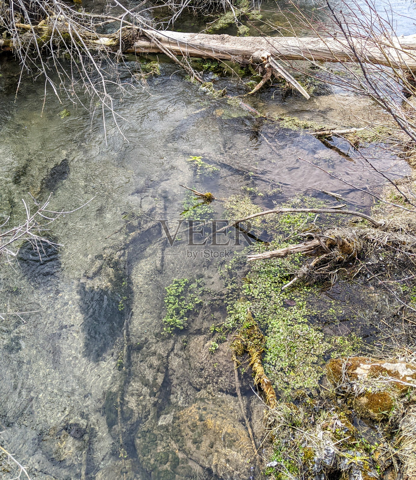 春天清溪照片摄影图片