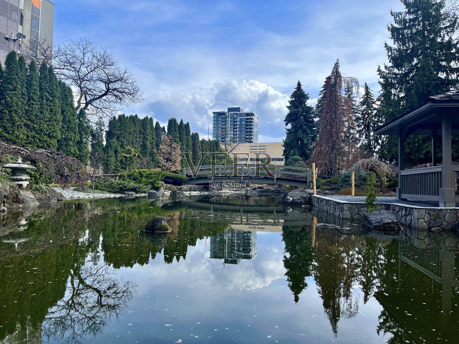 城市中的湖，日本花园照片摄影图片