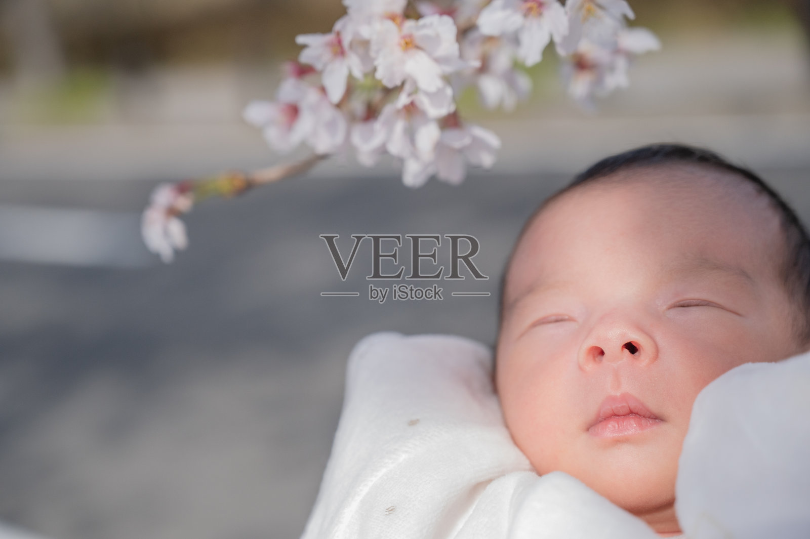 可爱的日本宝宝和妈妈照片摄影图片