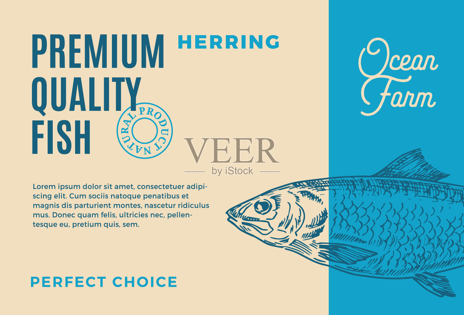 优质鲱鱼。摘要矢量鱼包装设计或标签。现代排版和手绘鲱鱼剪影背景布局插画图片素材