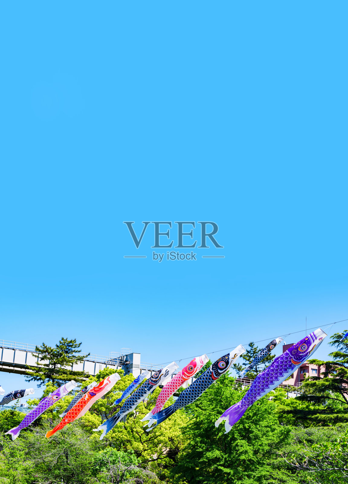 鲤鱼彩带是日本文化照片摄影图片