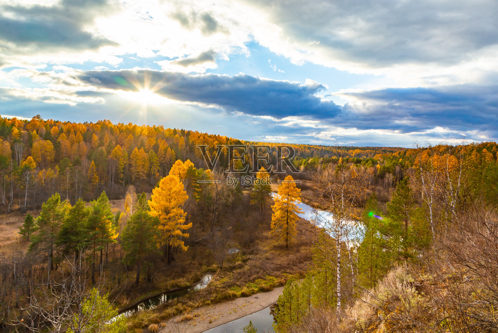 秋天的大自然中有一条河的松树和岩石，黄色的树叶映衬着夜空。俄罗斯国家公园照片摄影图片