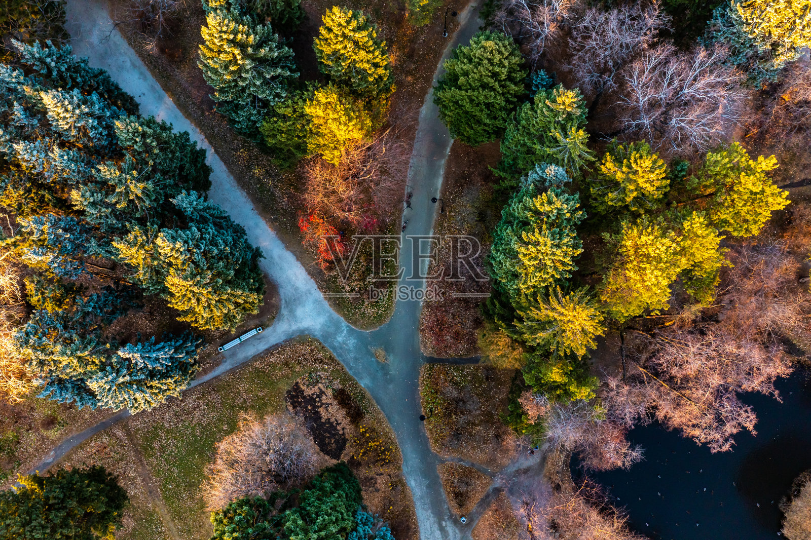 无人机拍摄的城市公园俯视图，傍晚时分有人行道和绿化带树木。俄罗斯，乌拉尔，叶卡捷琳堡照片摄影图片