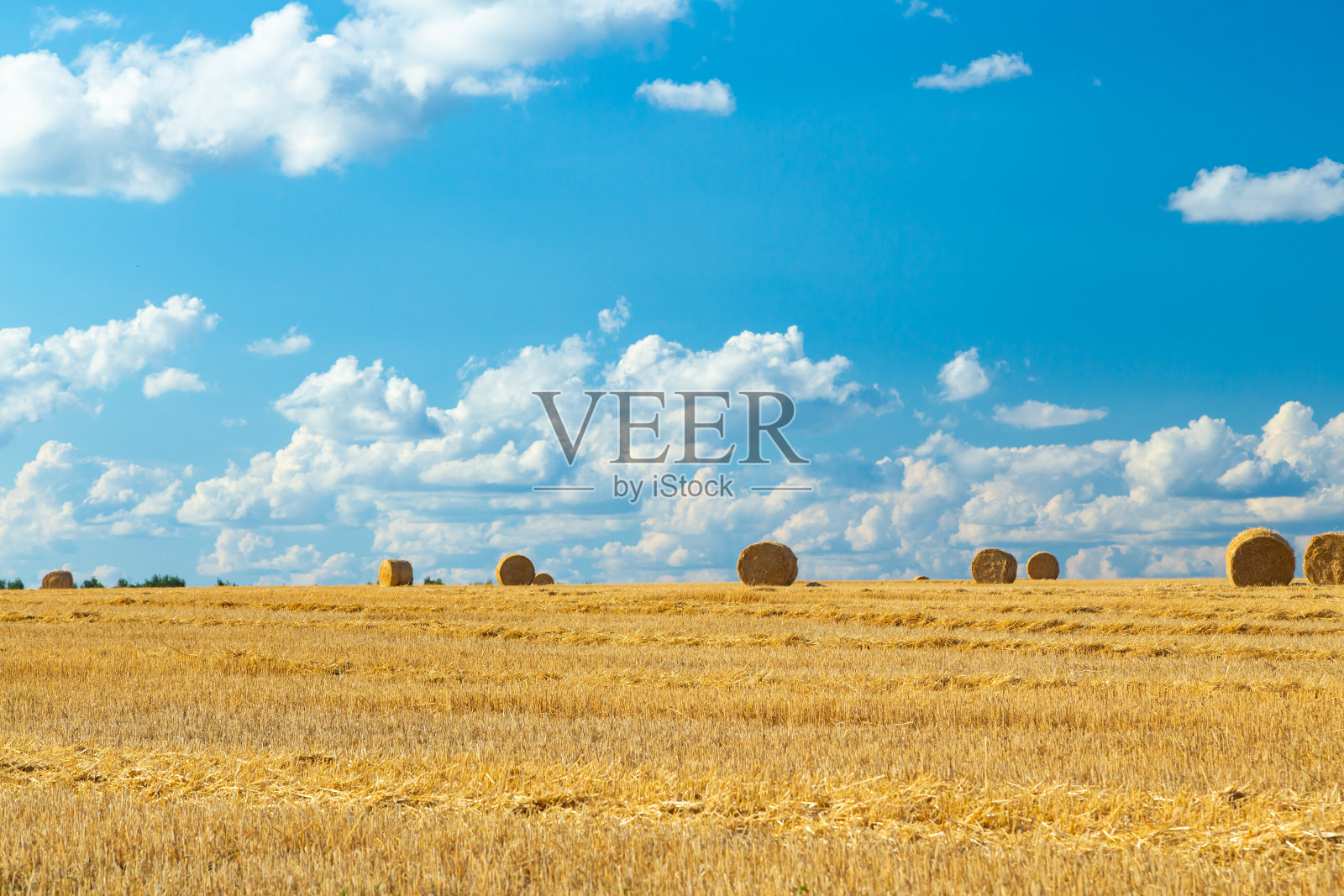 稻草包的背景与复制空间。农田里有许多捆稻草。正宗农场系列照片摄影图片