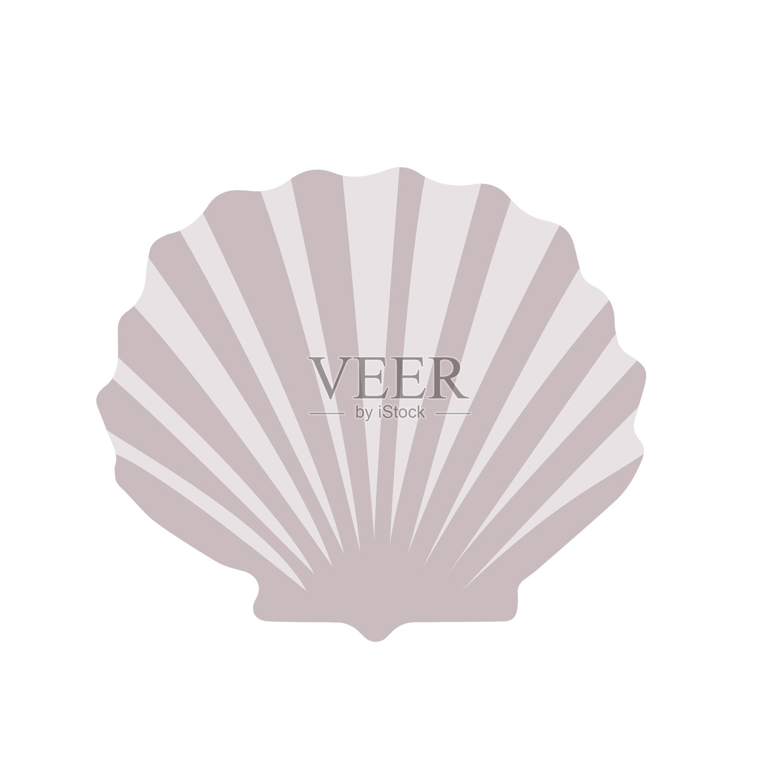 贝壳矢量简单在温和的颜色插画图片素材