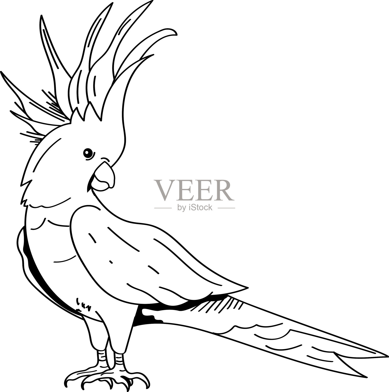 金刚鹦鹉动物单色风格插画图片素材