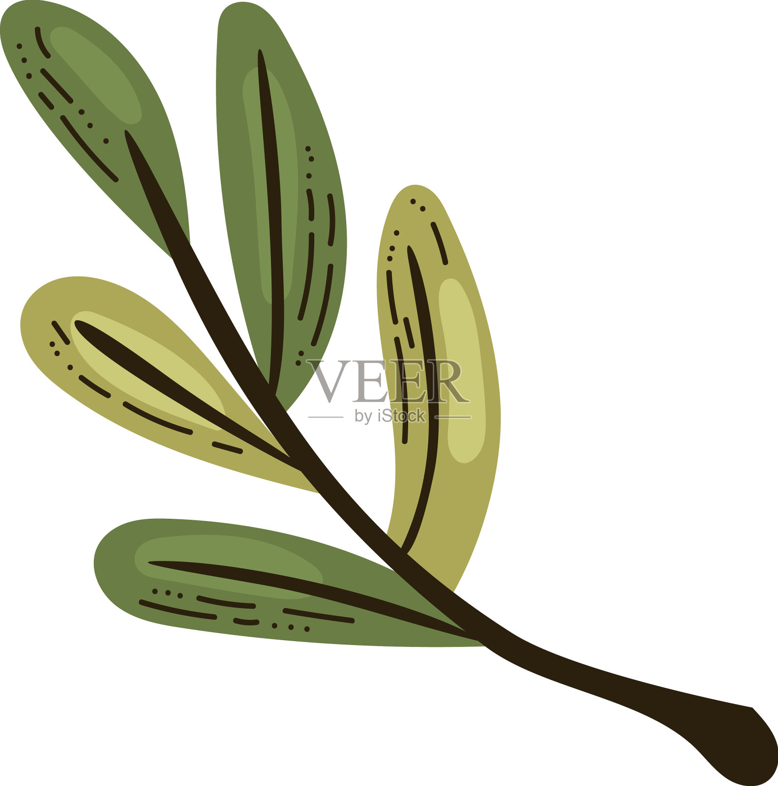 有机橄榄枝设计元素图片