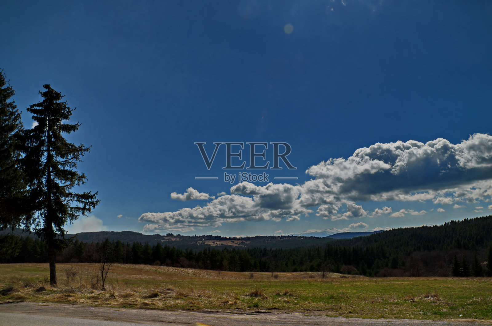 以瑞拉山为背景，普拉那山春草地和森林的美丽景观照片摄影图片