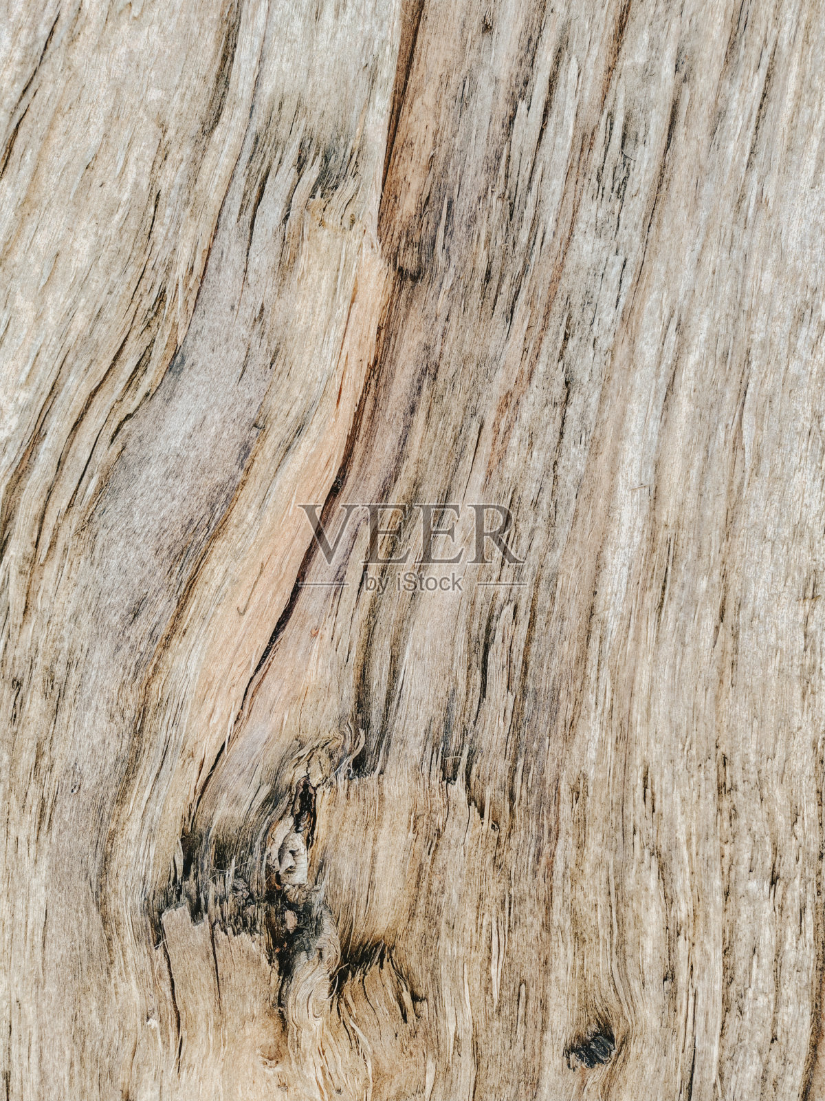 木材有机纹理特写，天然木质背景。有年轮和裂缝的树干。照片摄影图片