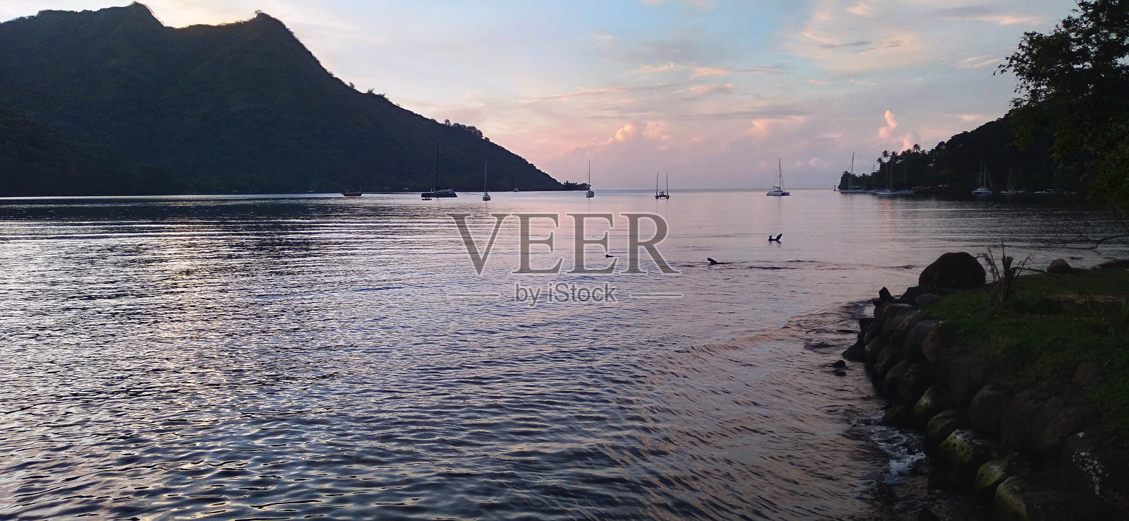 库克湾(Moorea)日落照片摄影图片