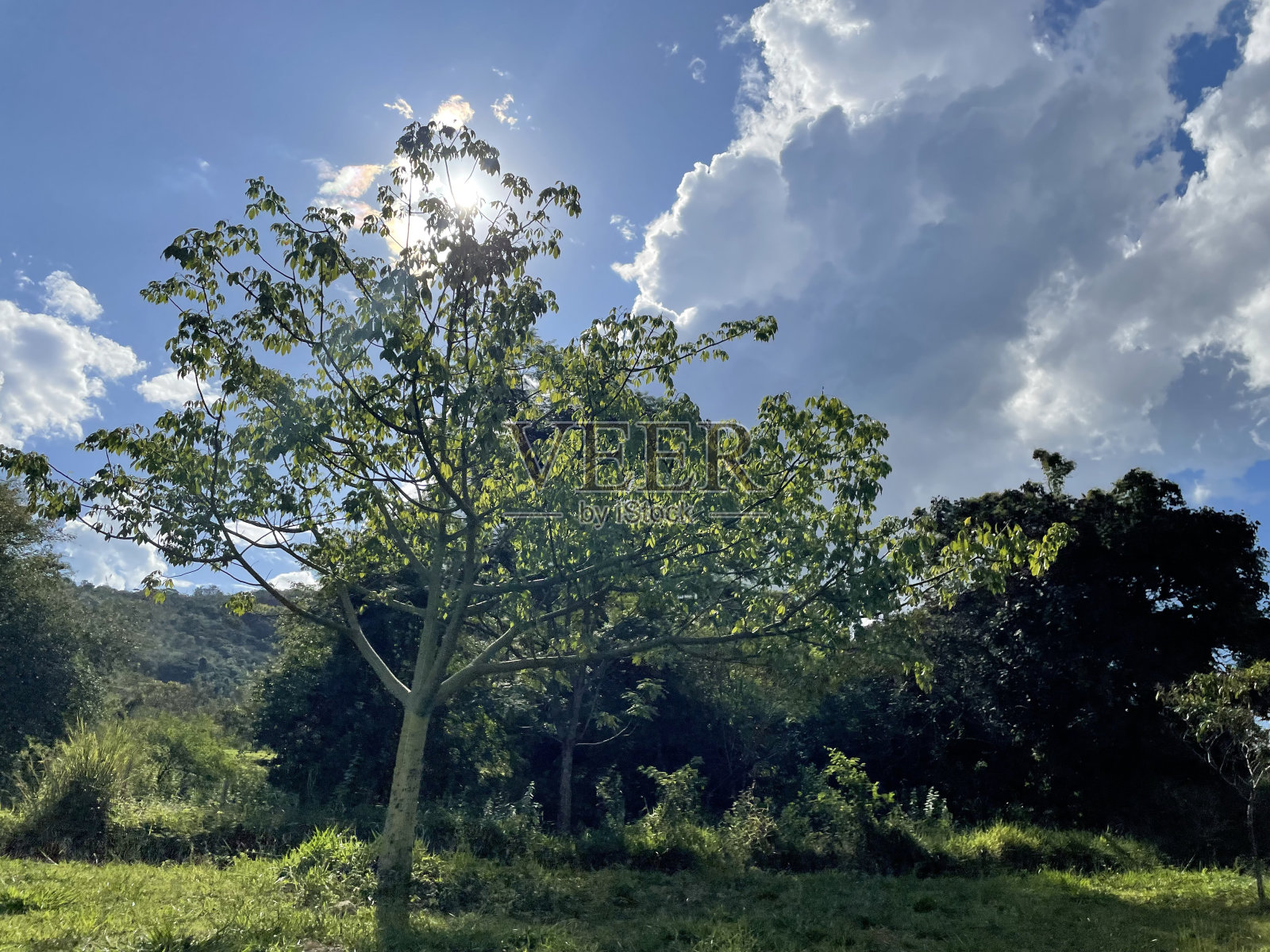 自然照片摄影图片
