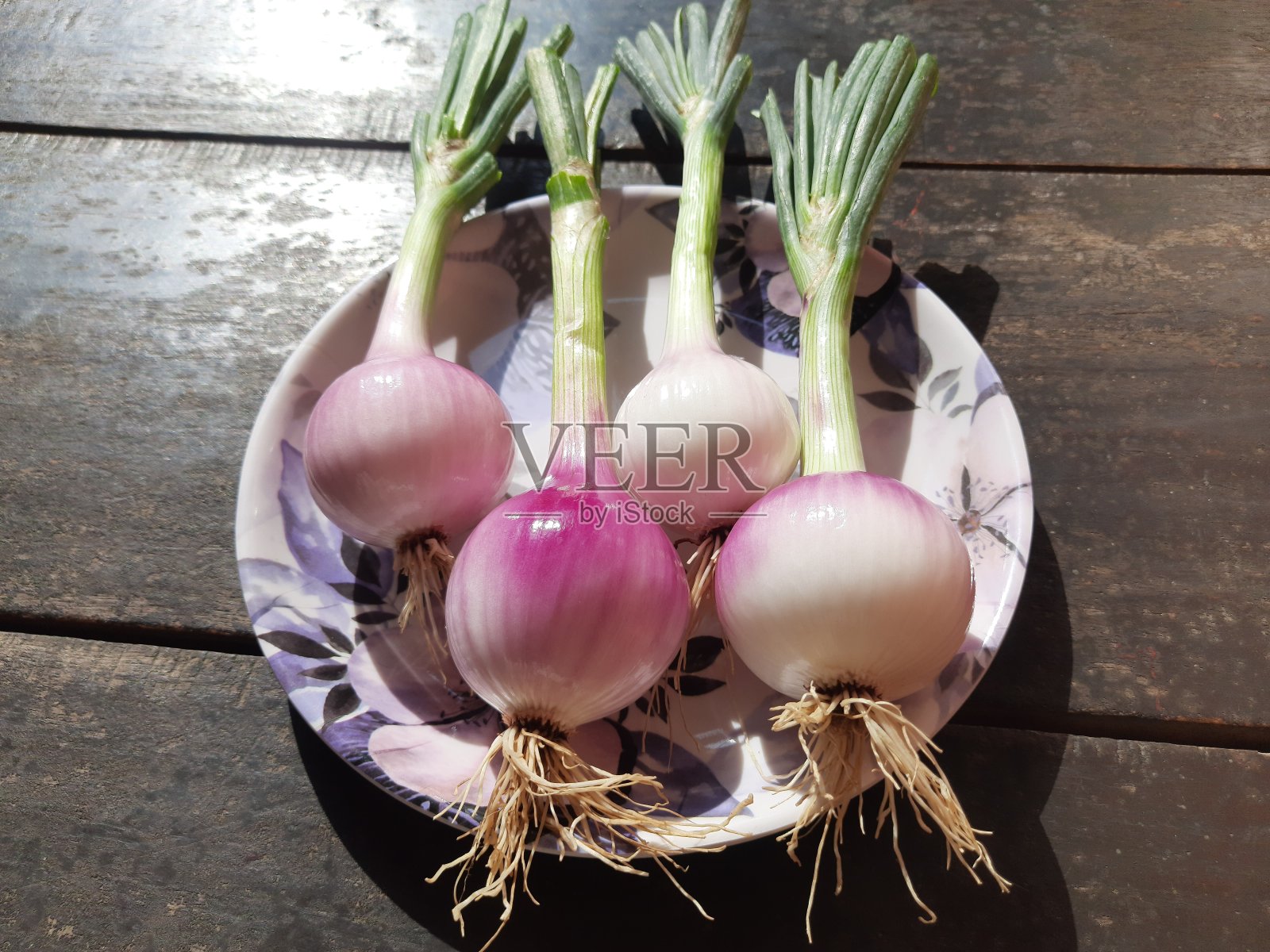 绿色的洋葱。照片摄影图片