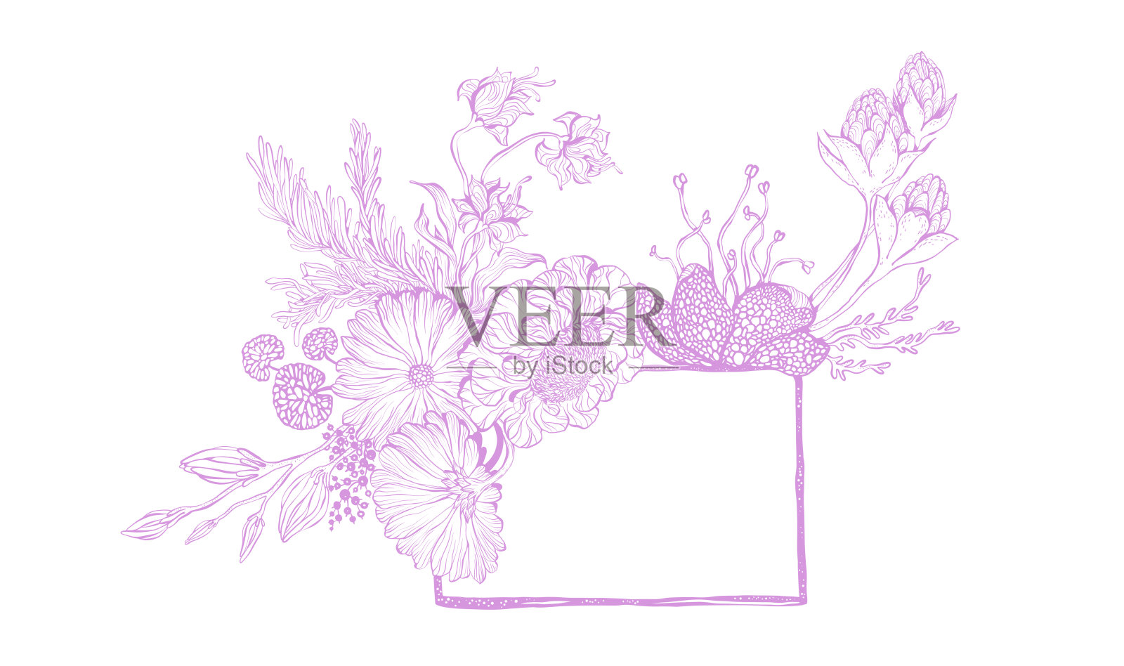 优雅的花墨框架插画图片素材