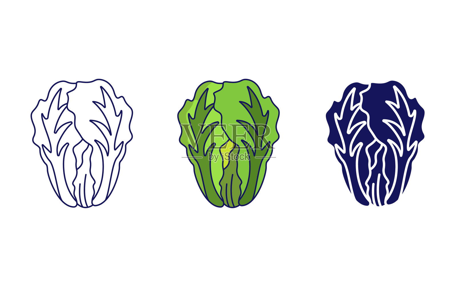 白菜矢量图标插画图片素材