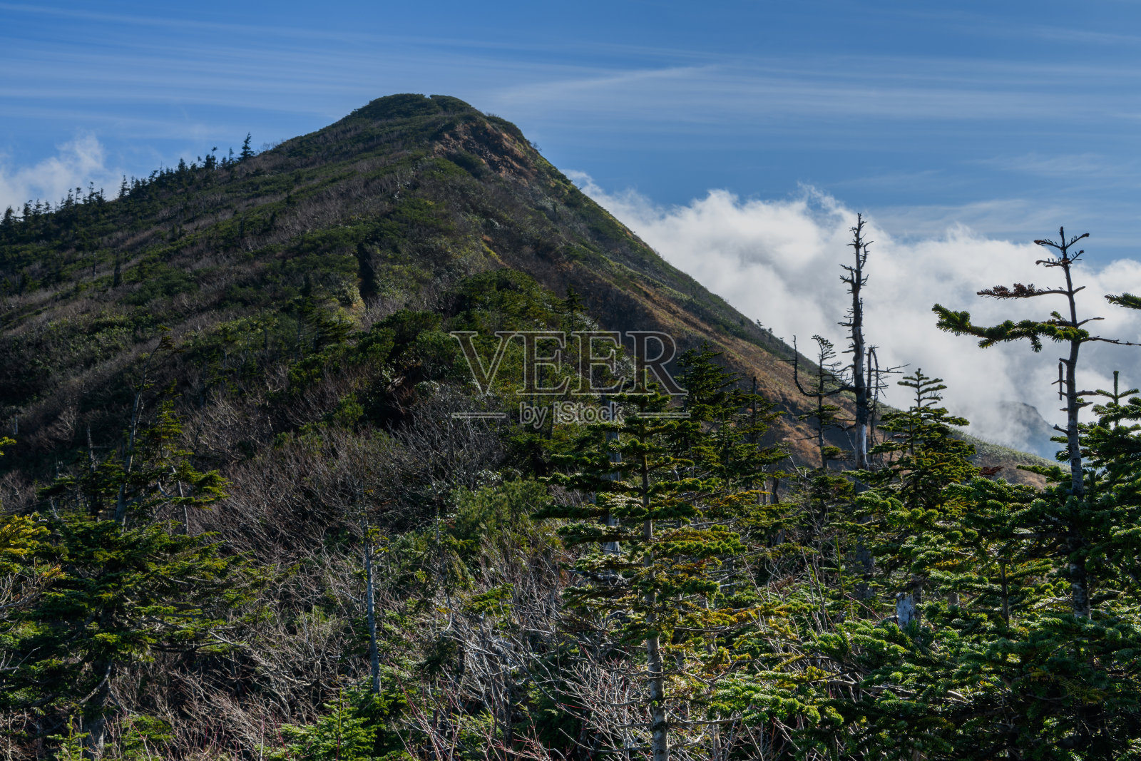 深秋的堀高山照片摄影图片