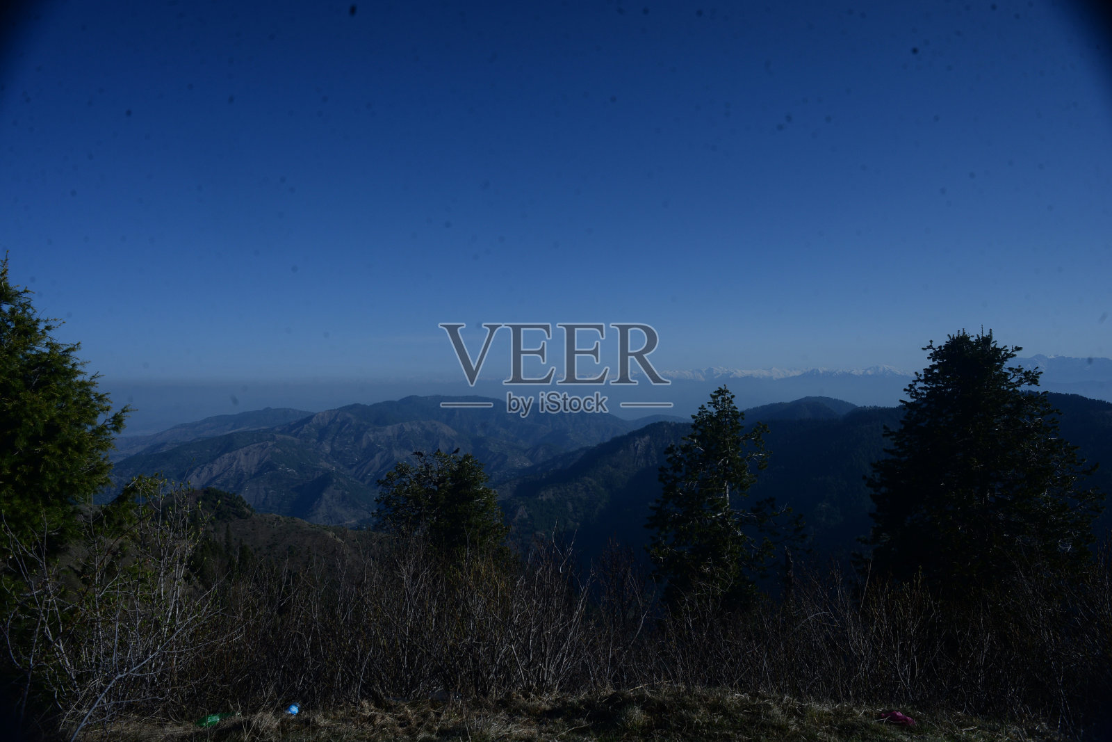 Meranjani最高照片摄影图片