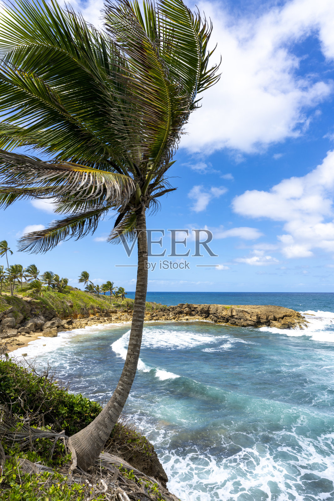 加勒比的海滩照片摄影图片
