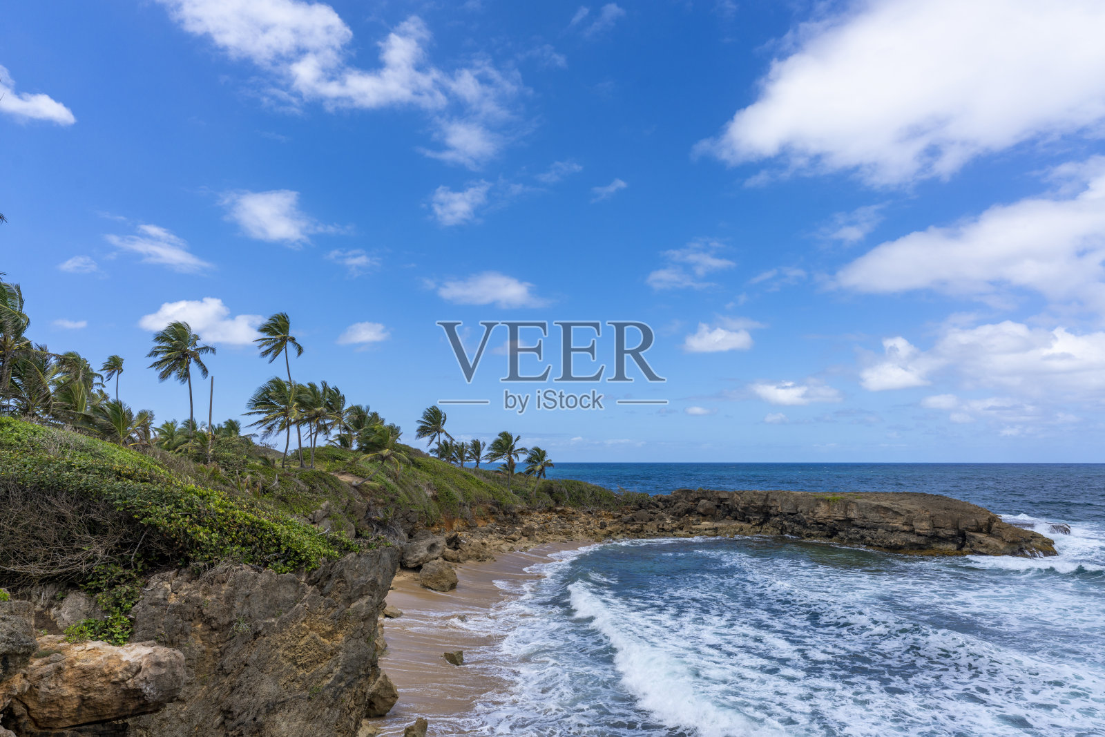 加勒比的海滩照片摄影图片