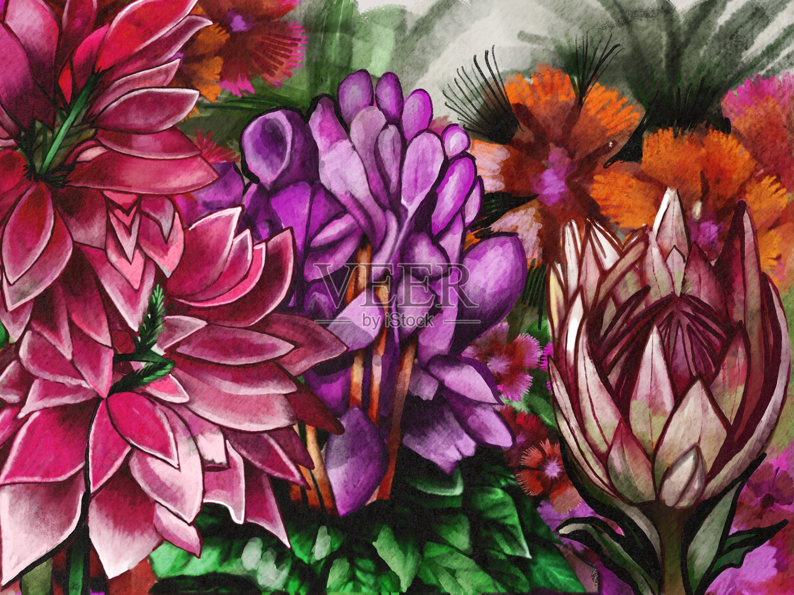 热带植物在花园的插图，生动的色彩。插画图片素材