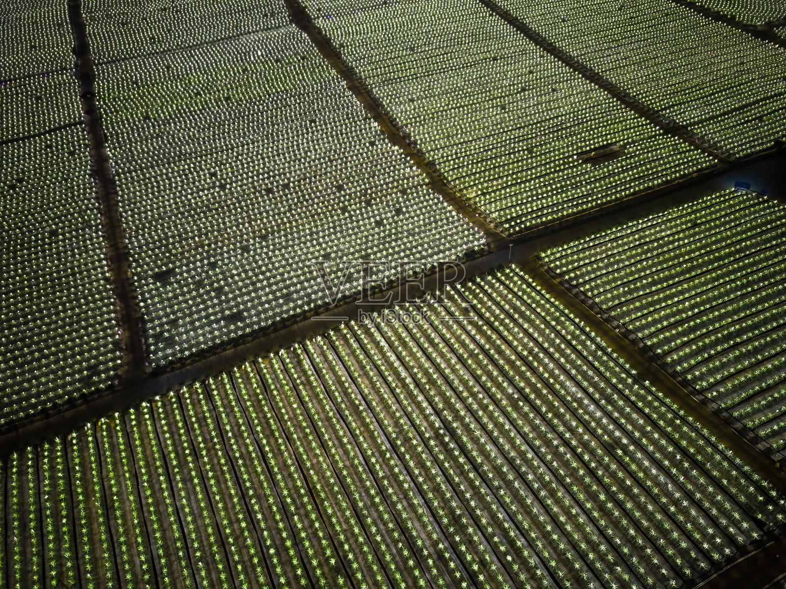 中国广西郊区火龙果田的航拍夜景照片摄影图片