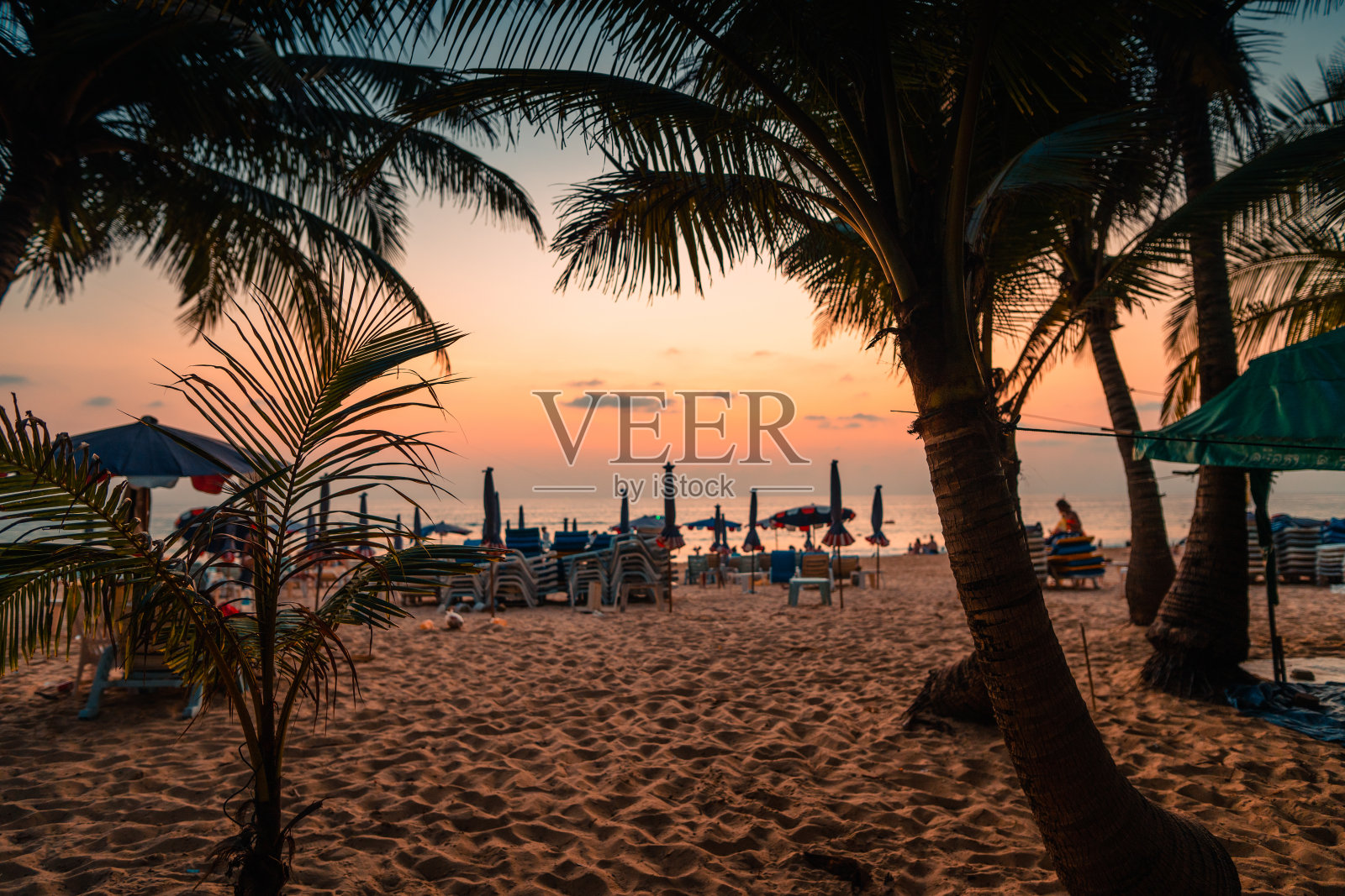 傍晚的沙滩，岛上沙滩上的椰子树和暑假照片摄影图片