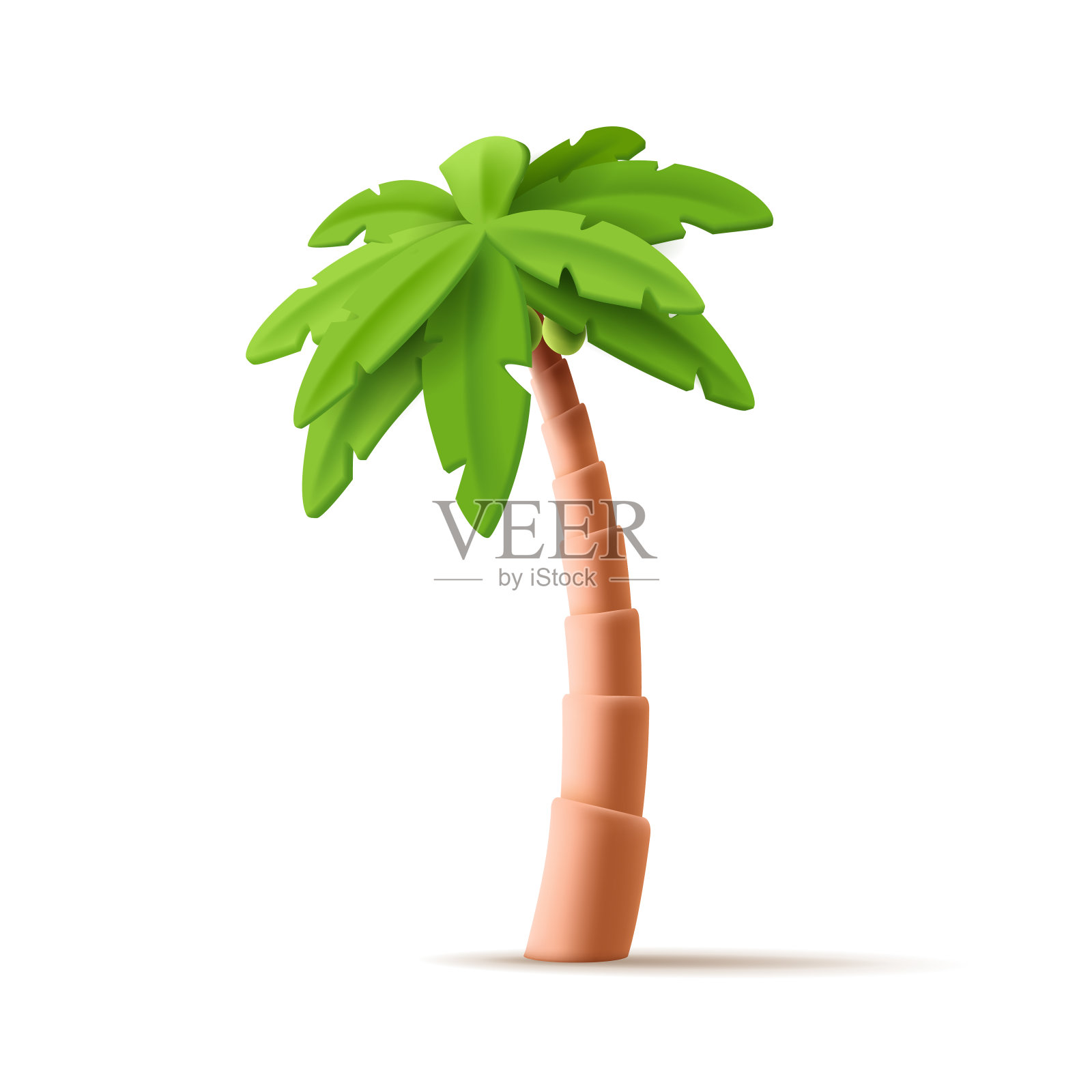 三维矢量热带棕榈卡通插图。热带丛林现实植物孤立渲染白色。插画图片素材
