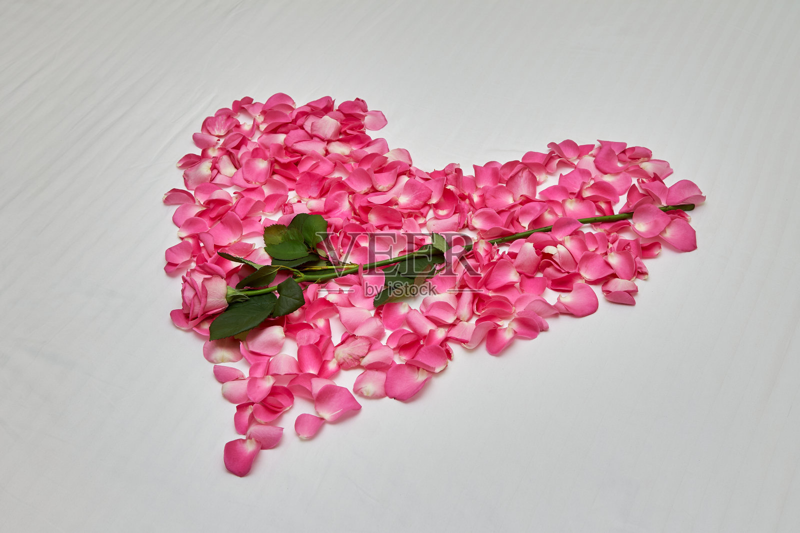 心形建在白色的花瓣床上，中间是一朵玫瑰。照片摄影图片