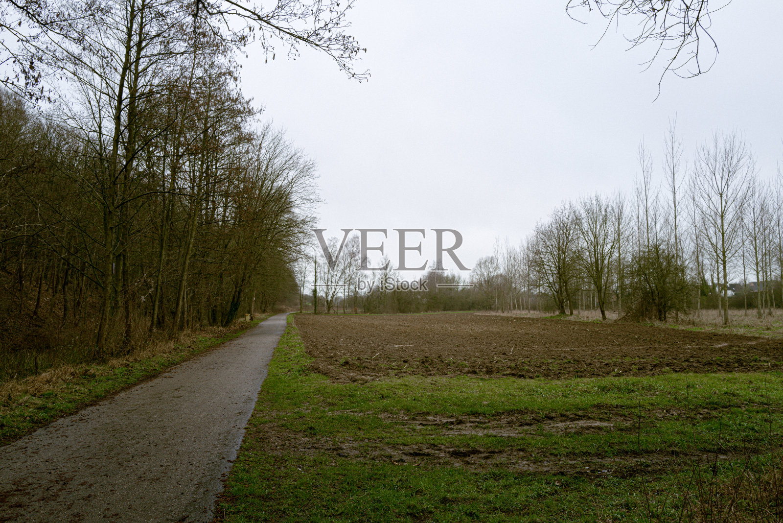 乡间小路照片摄影图片