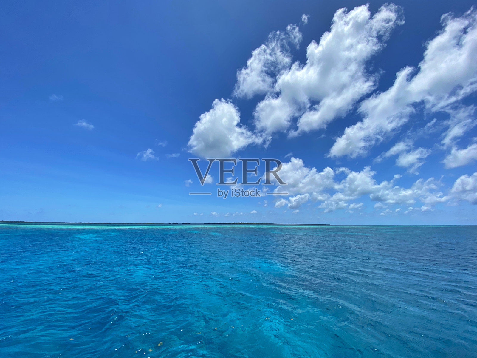 伯利兹照片摄影图片