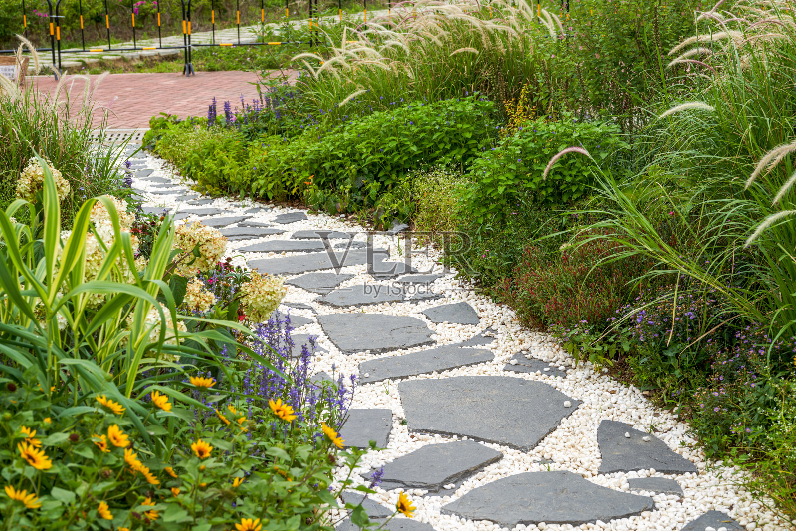 日本园林中的步道和禅宗般的白塔砾石景观照片摄影图片